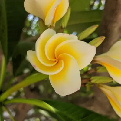 Photograph by Prakrisht Dahiya